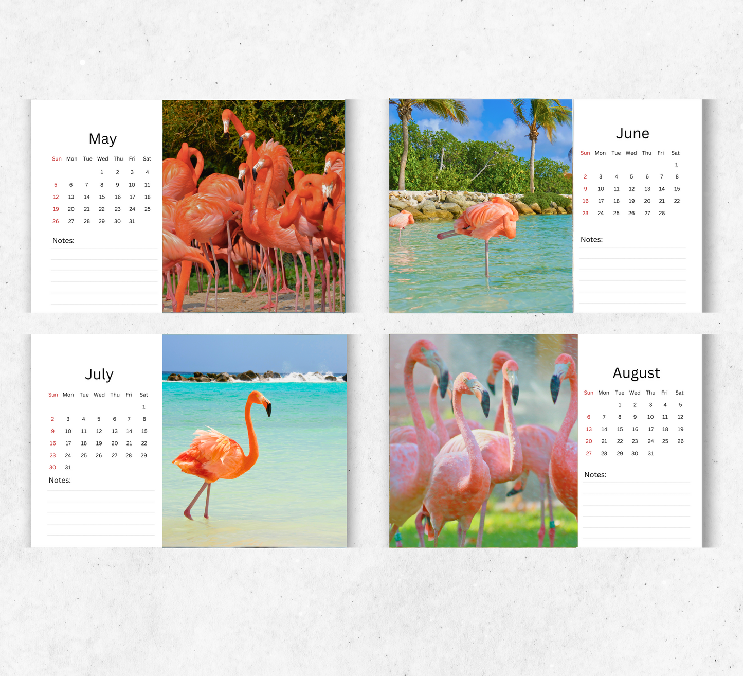 Flamingo Desk Calendar 2026-2027