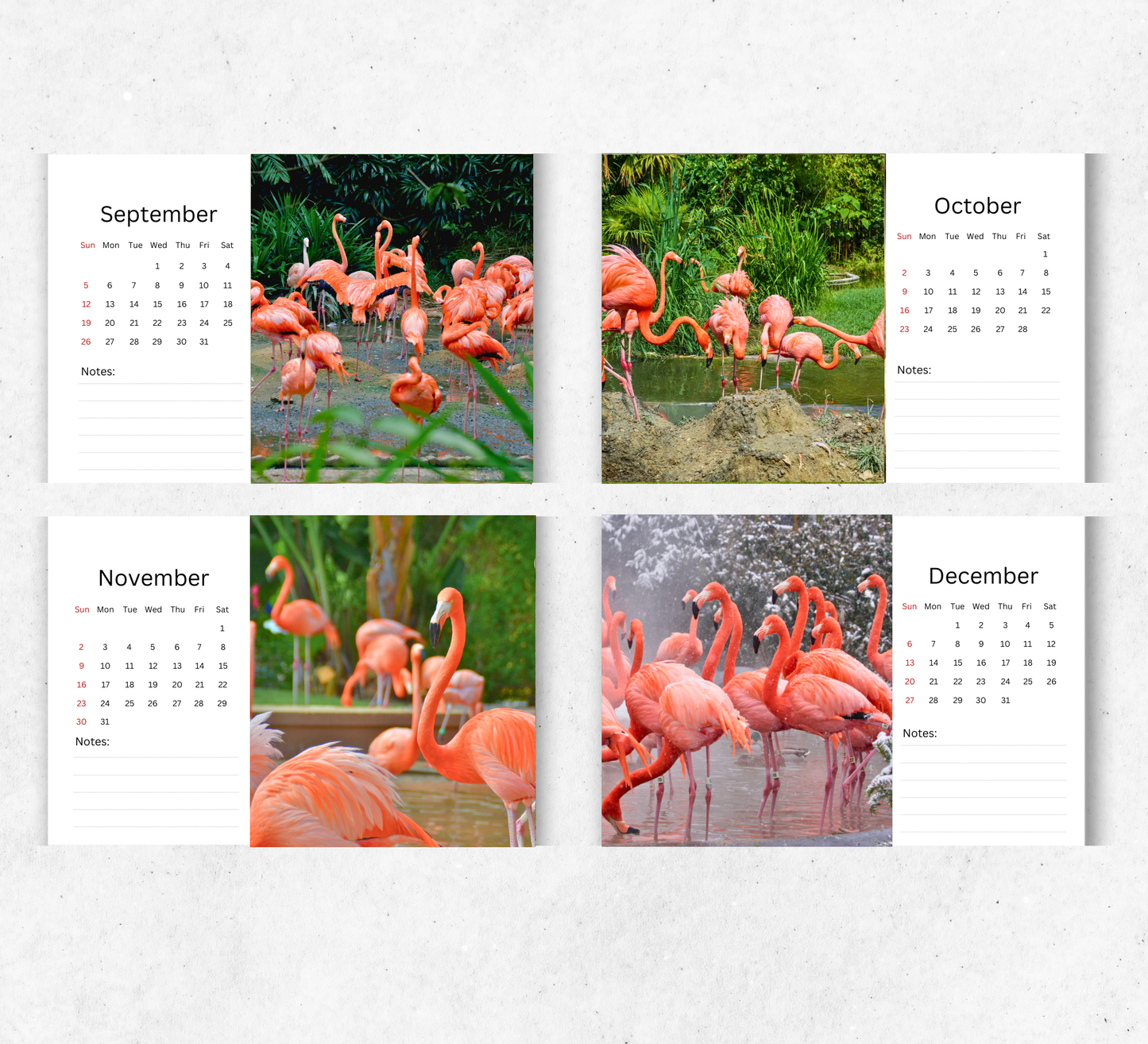 Flamingo Desk Calendar 2026-2027