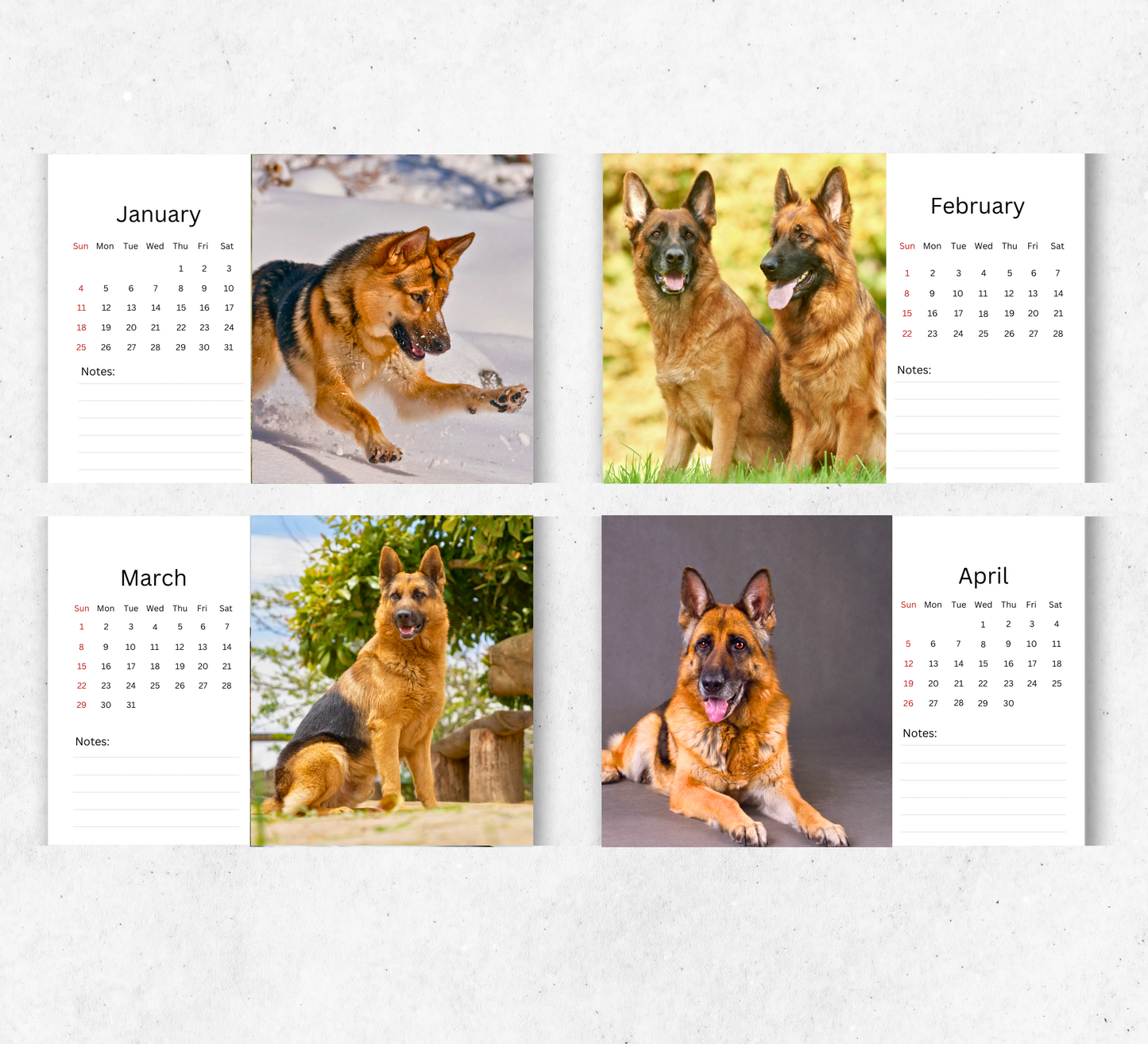 German Shepherd Desk Calendar 2026-2027