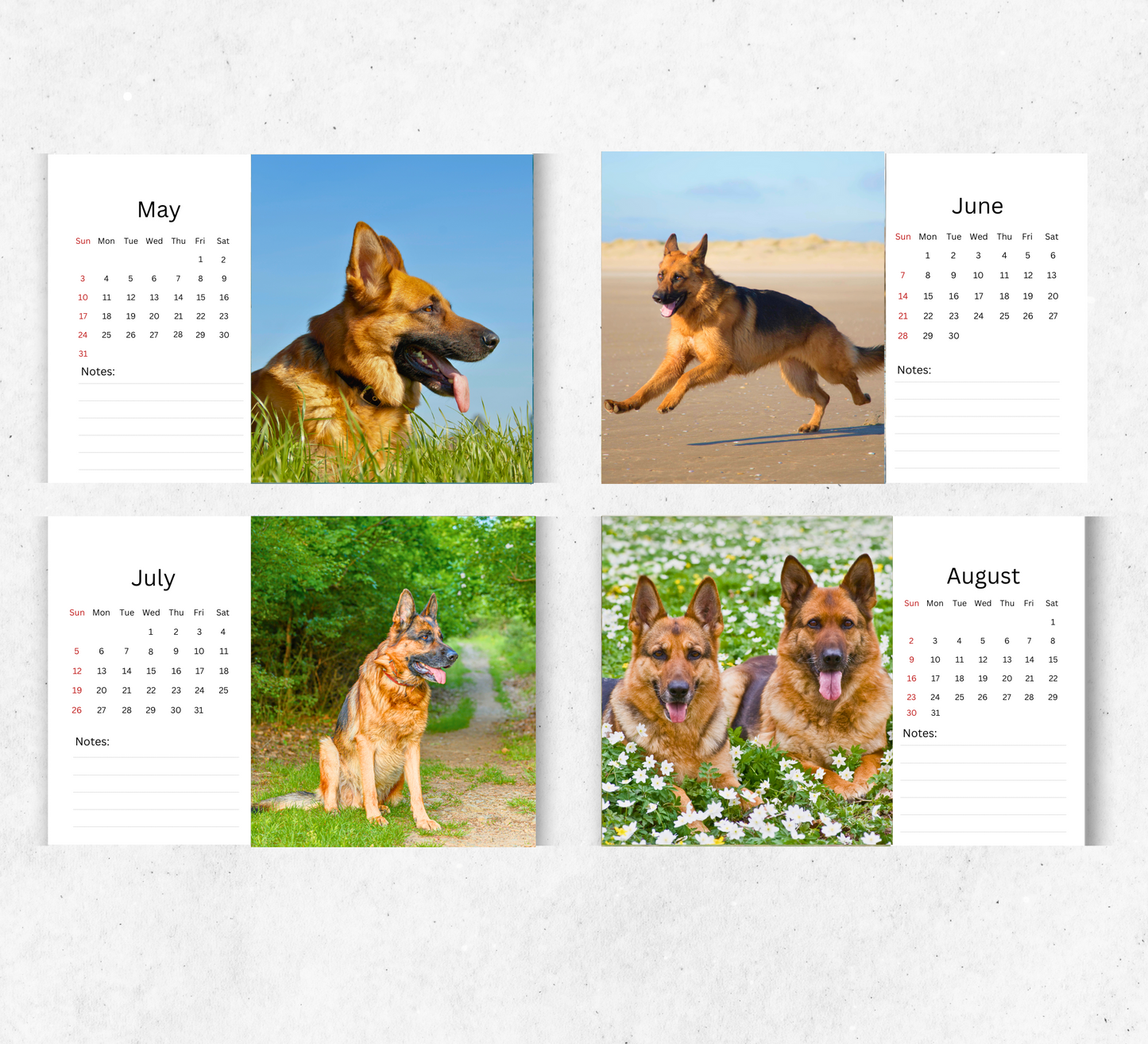 German Shepherd Desk Calendar 2026-2027