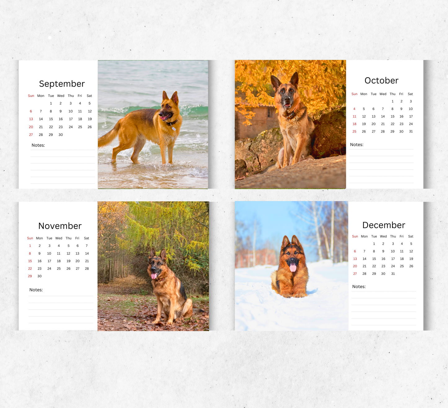 German Shepherd Desk Calendar 2026-2027
