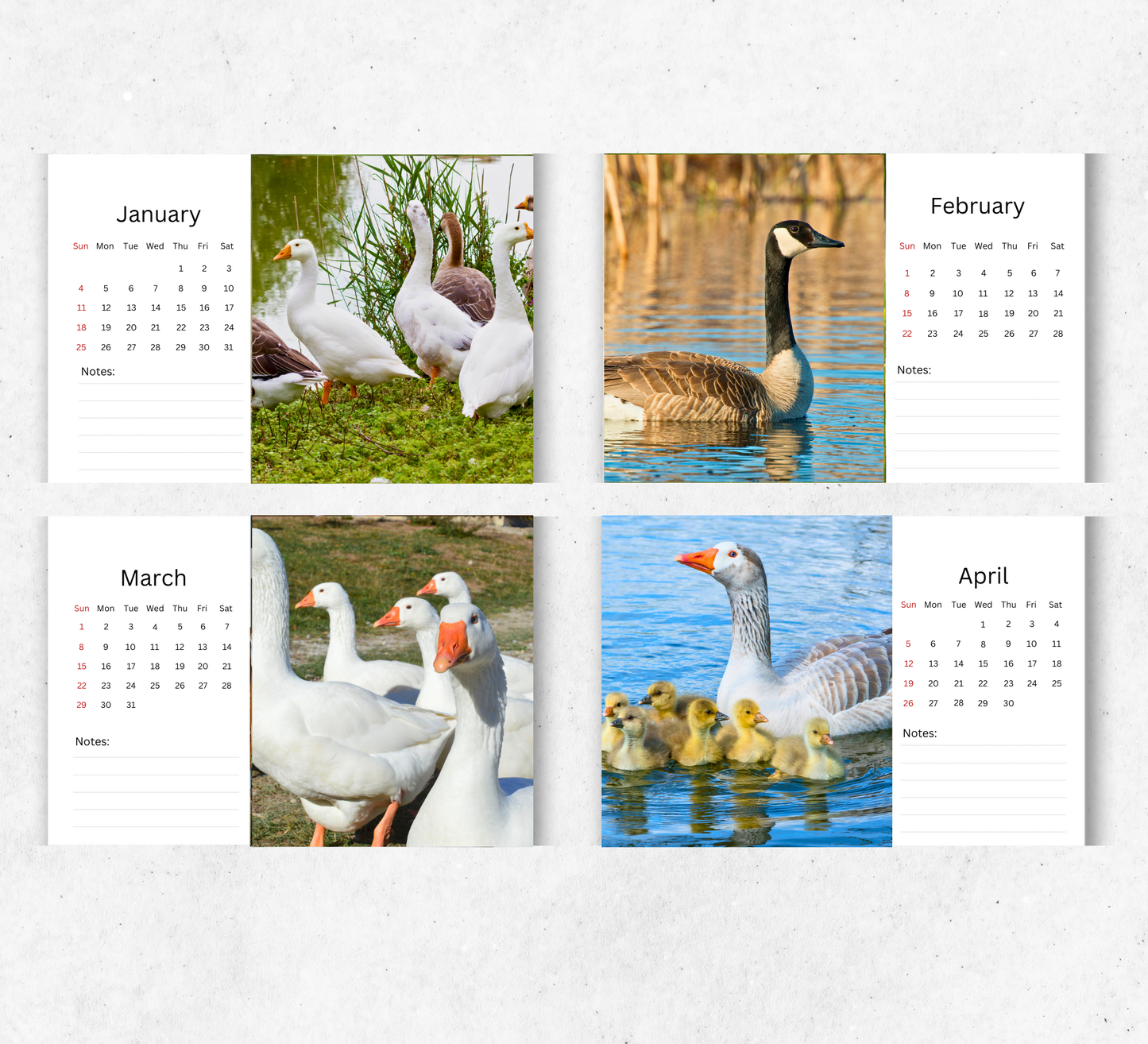 Goose Desk Calendar 2026-2027
