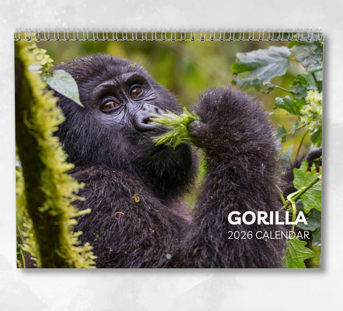 Gorilla Calendar 2026