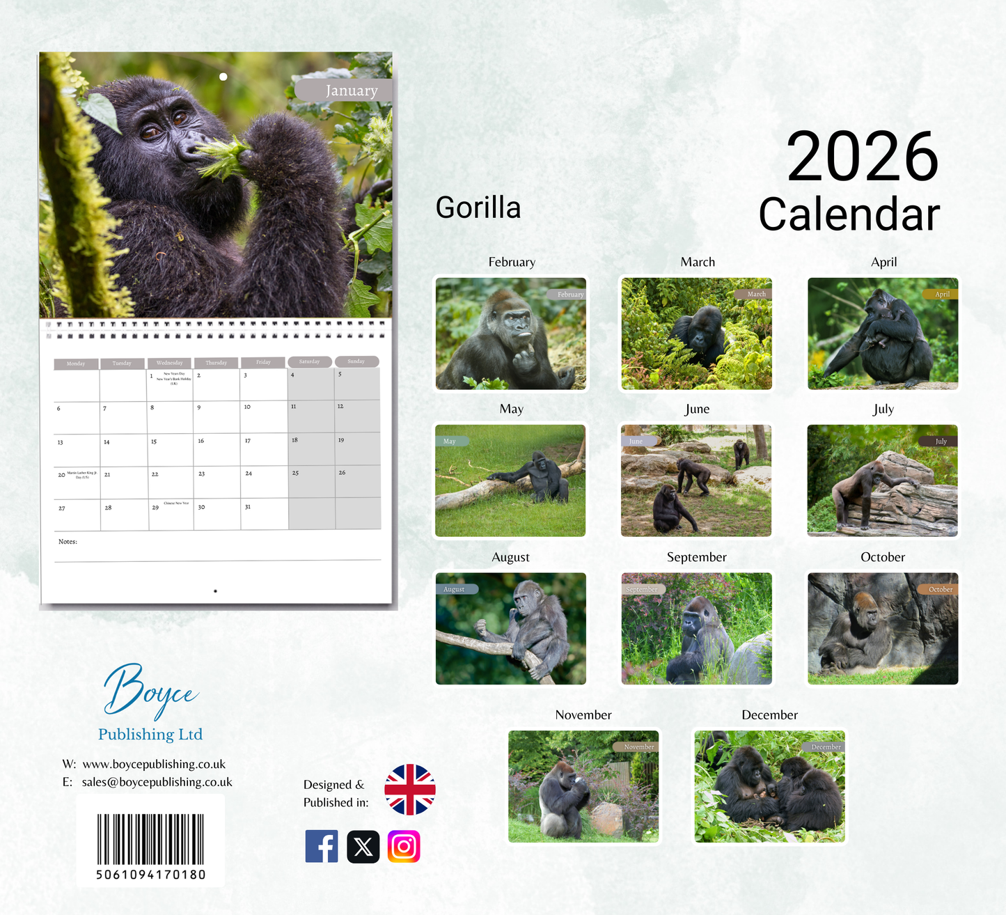 Gorilla Calendar 2026