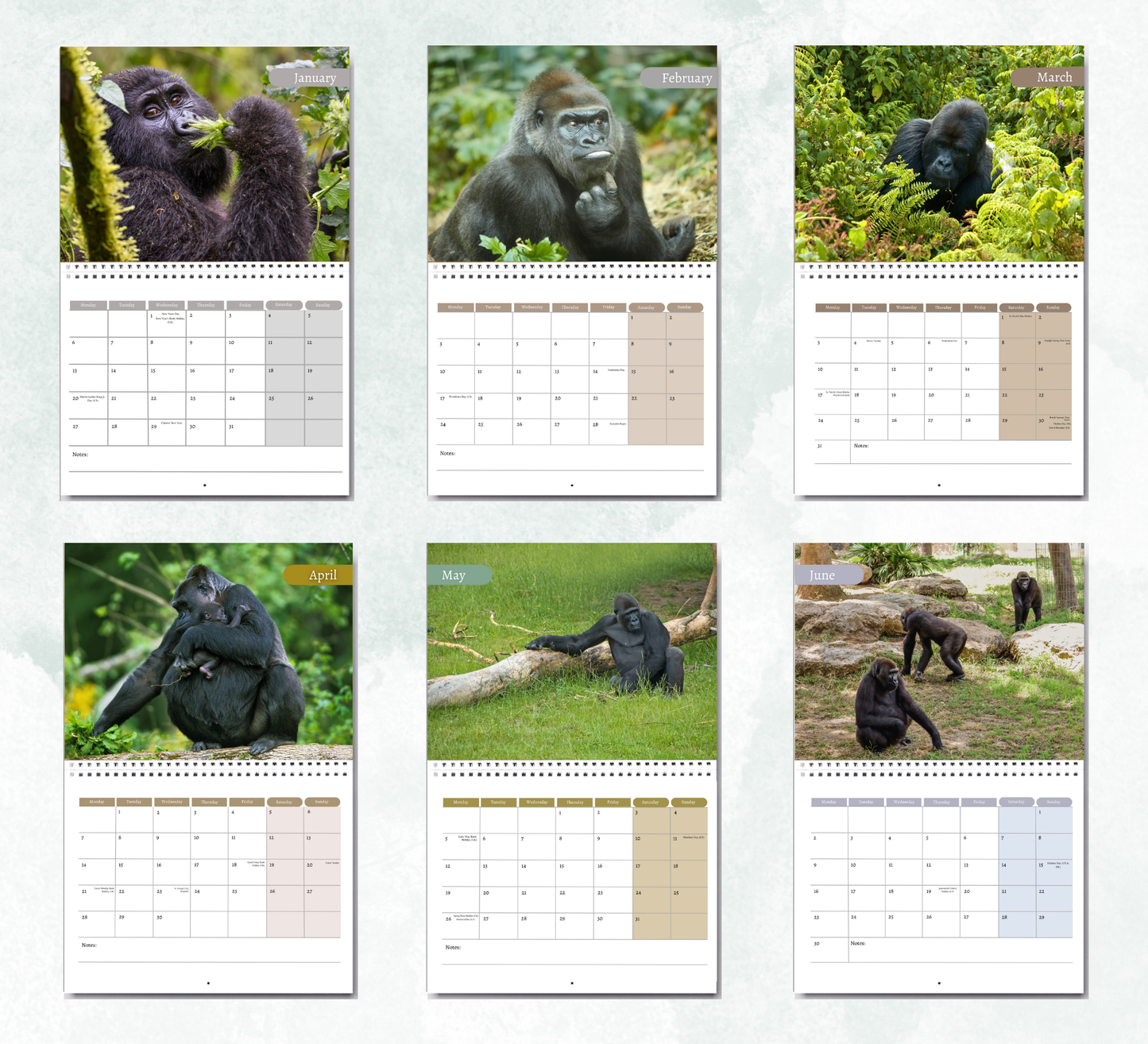 Gorilla Calendar 2026