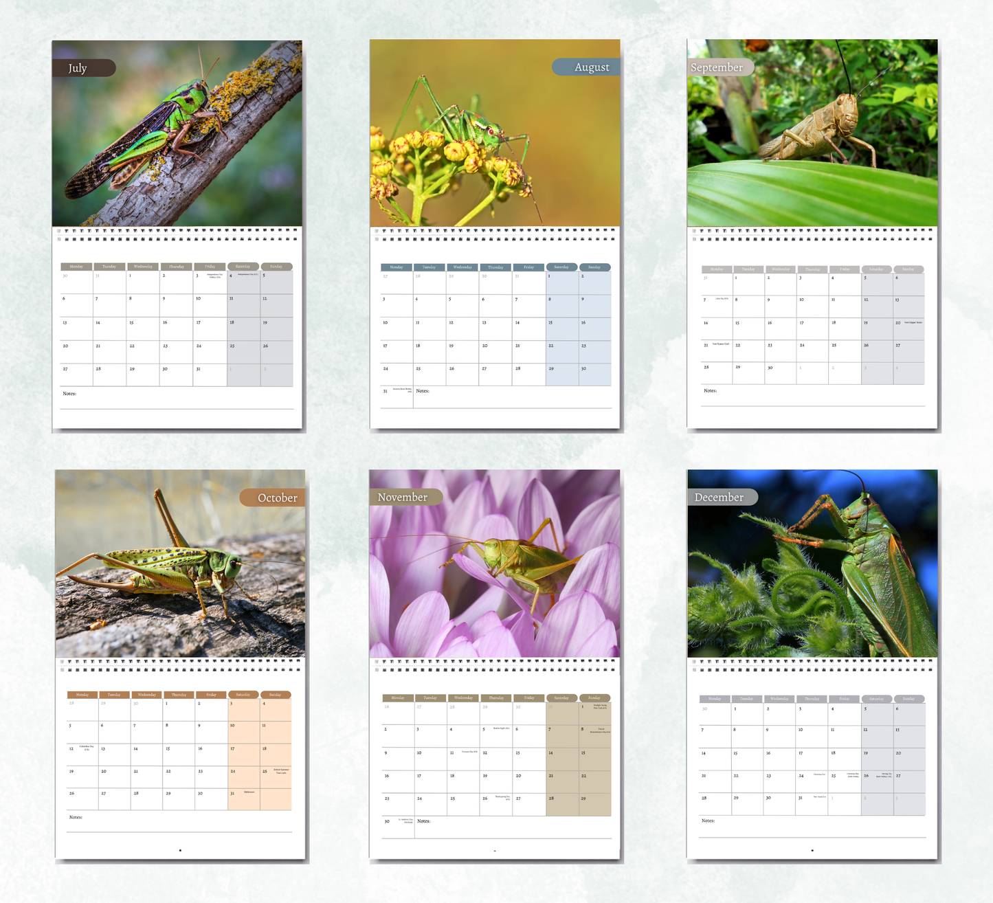 Grasshopper Calendar 2026