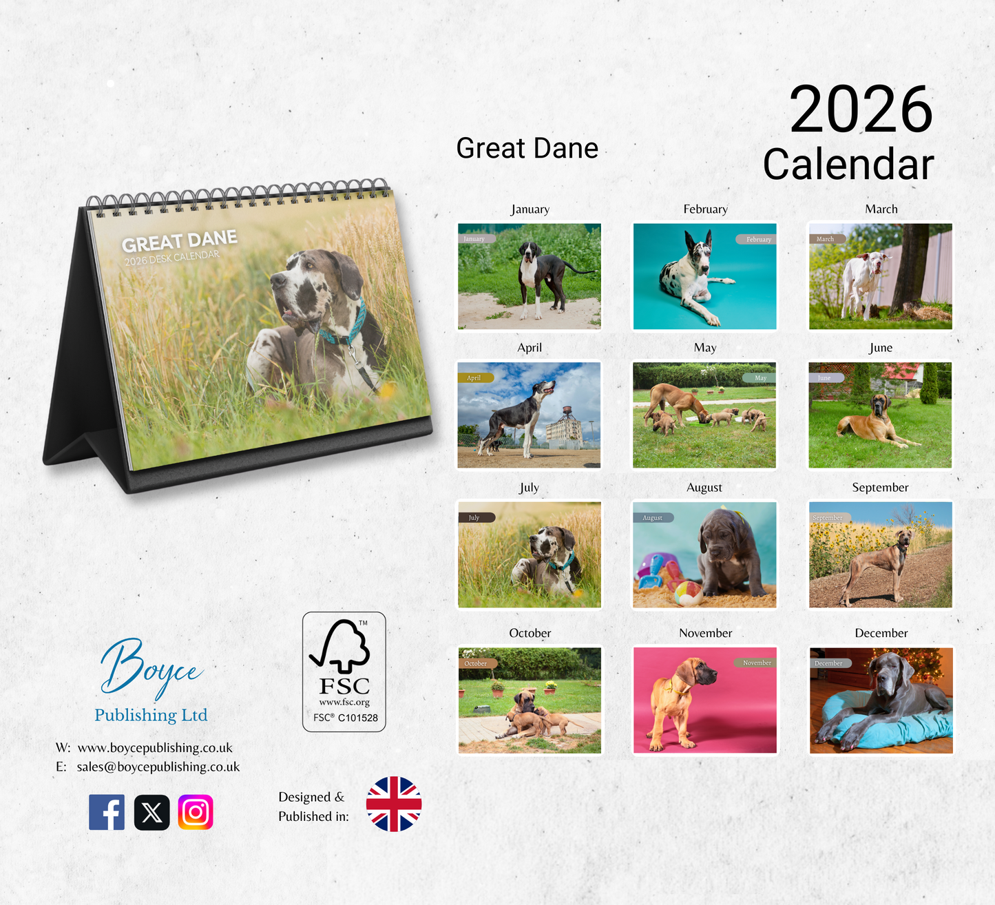 Great Dane Desk Calendar 2026-2027