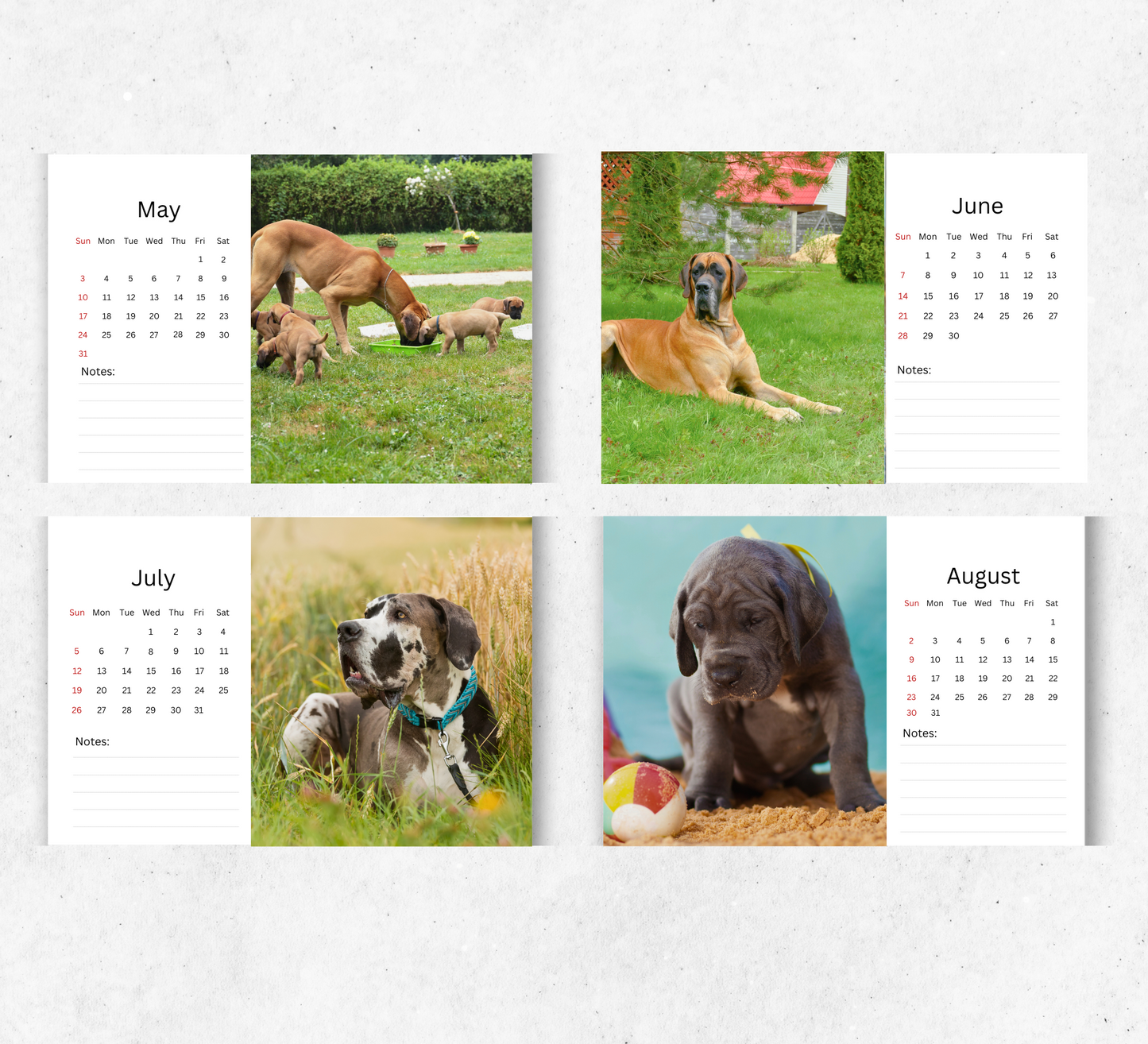 Great Dane Desk Calendar 2026-2027