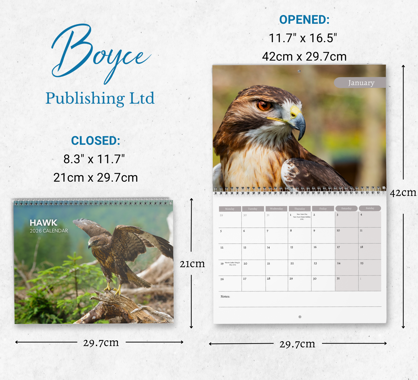 Hawk Calendar 2026