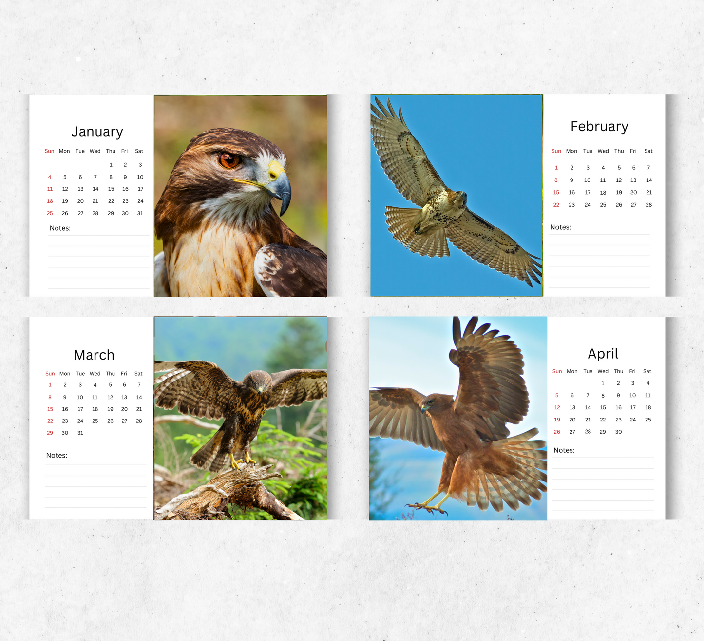 Hawk Desk Calendar 2026-2027