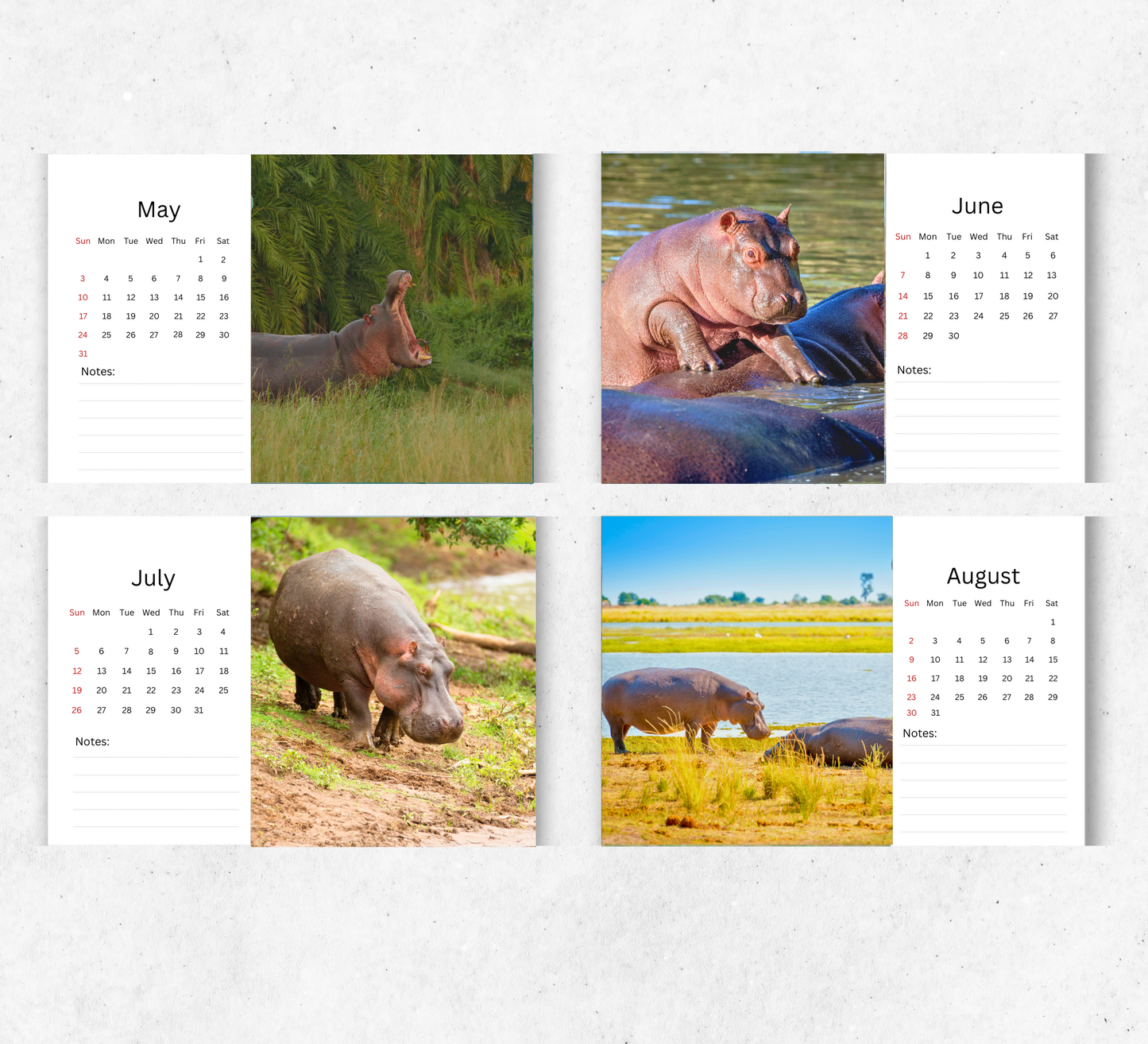 Hippo Desk Calendar 2026-2027