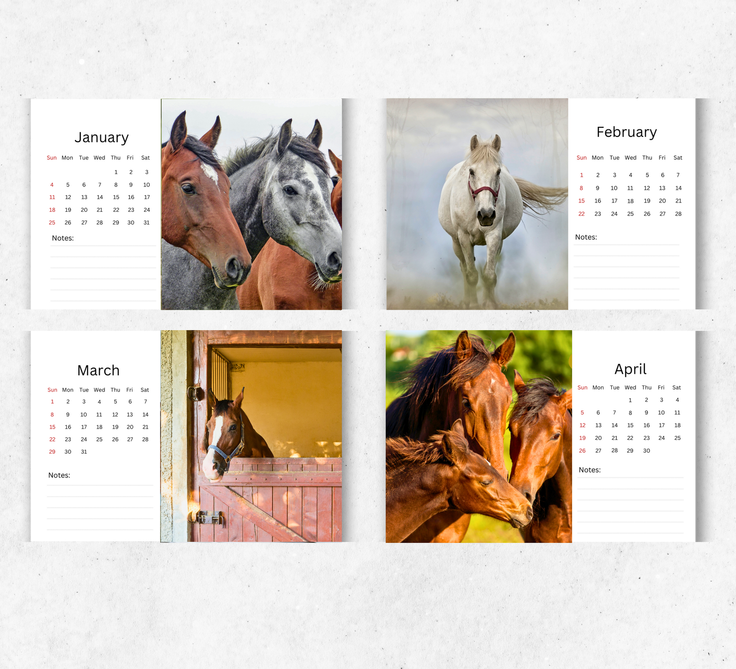 Horse Desk Calendar 2026-2027