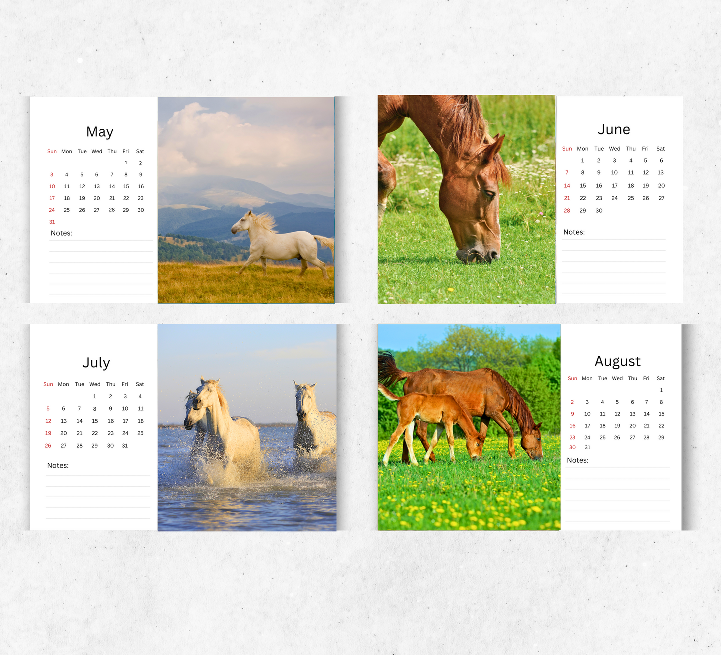 Horse Desk Calendar 2026-2027