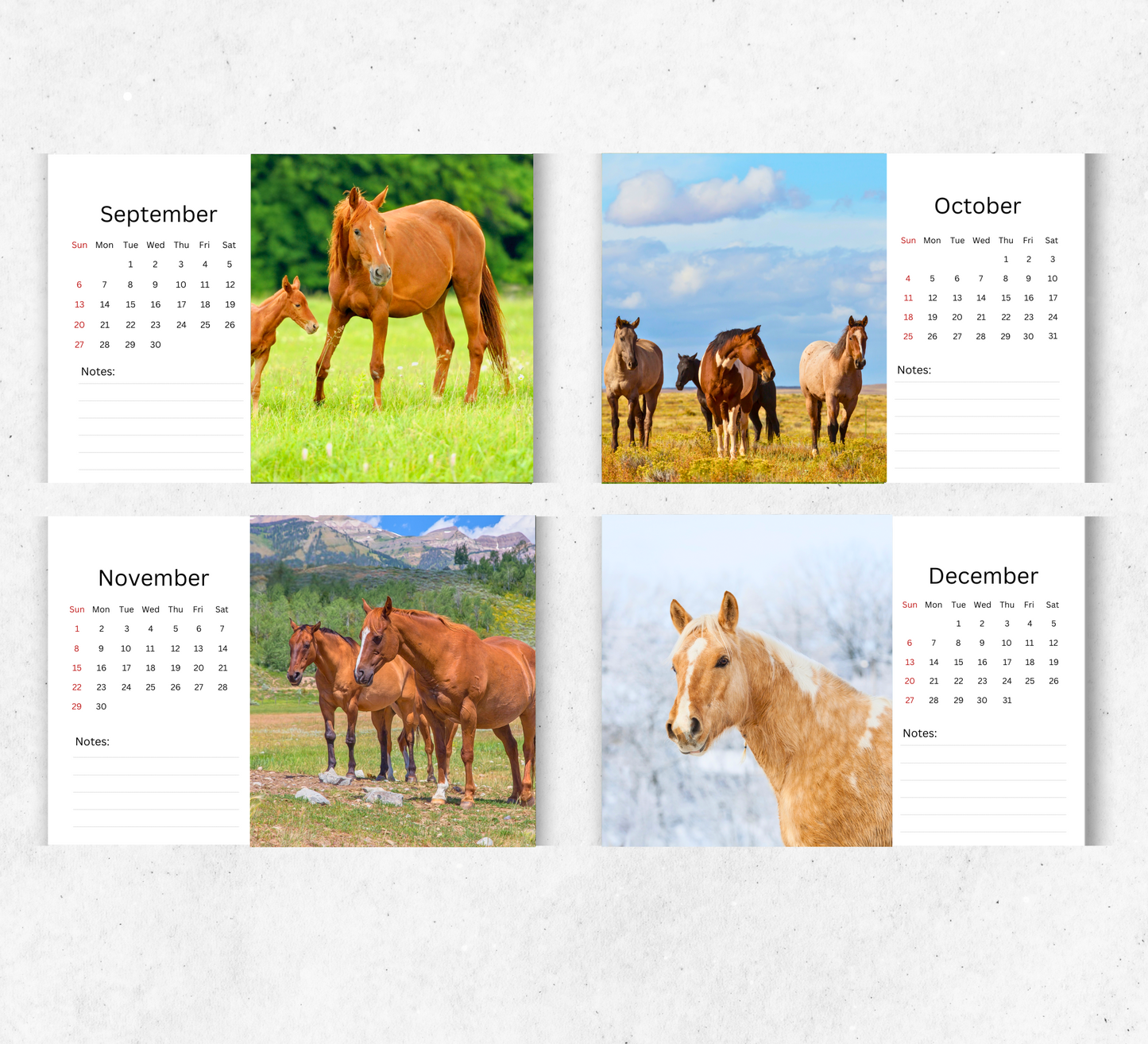 Horse Desk Calendar 2026-2027