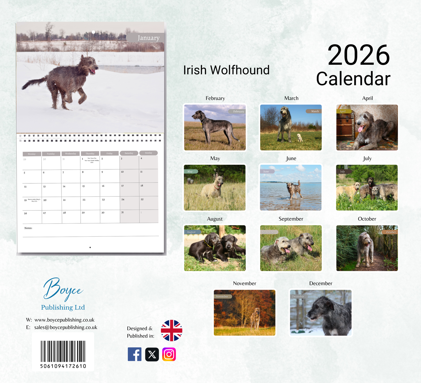 Irish Wolfhound Calendar 2026