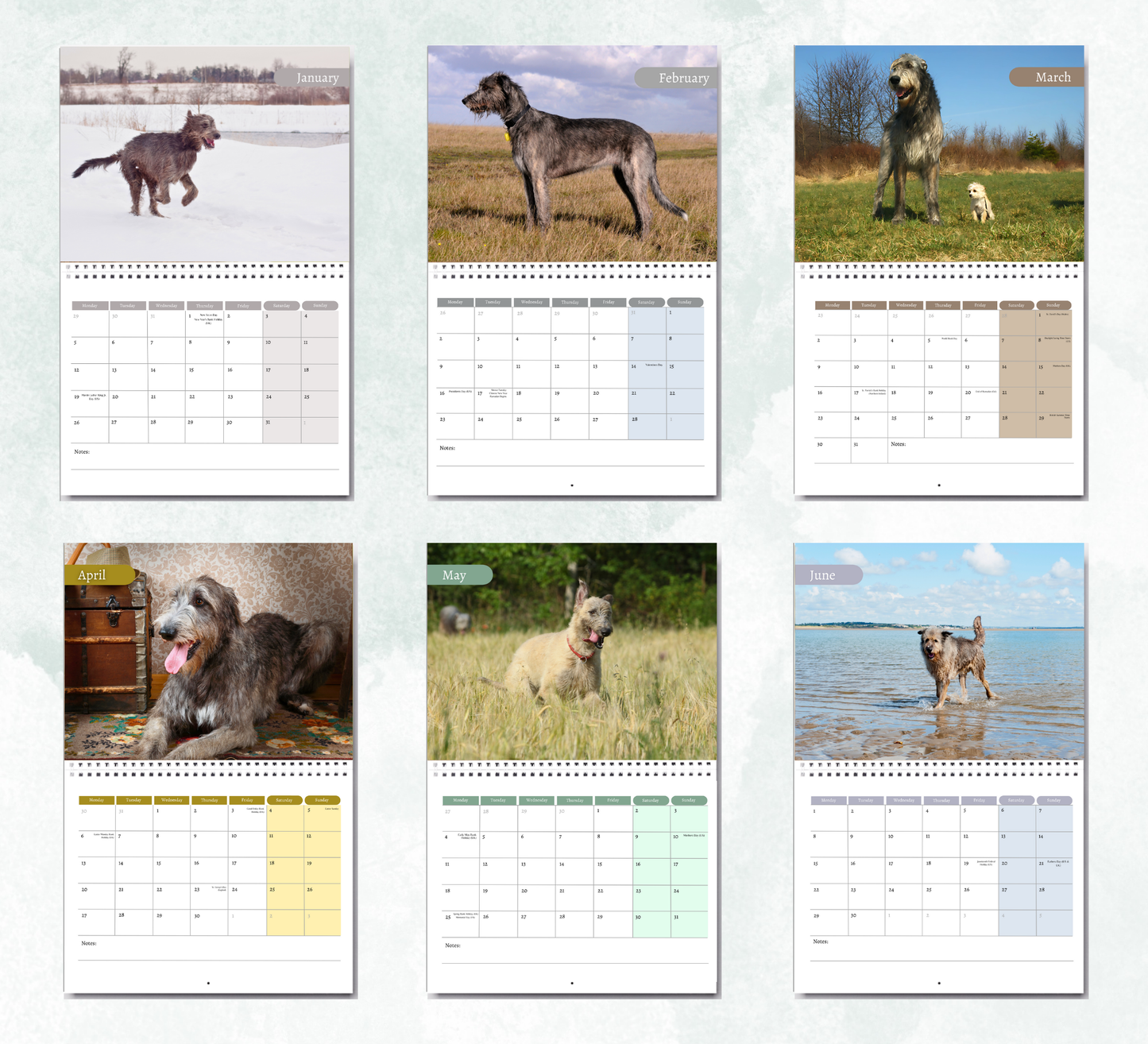Irish Wolfhound Calendar 2026