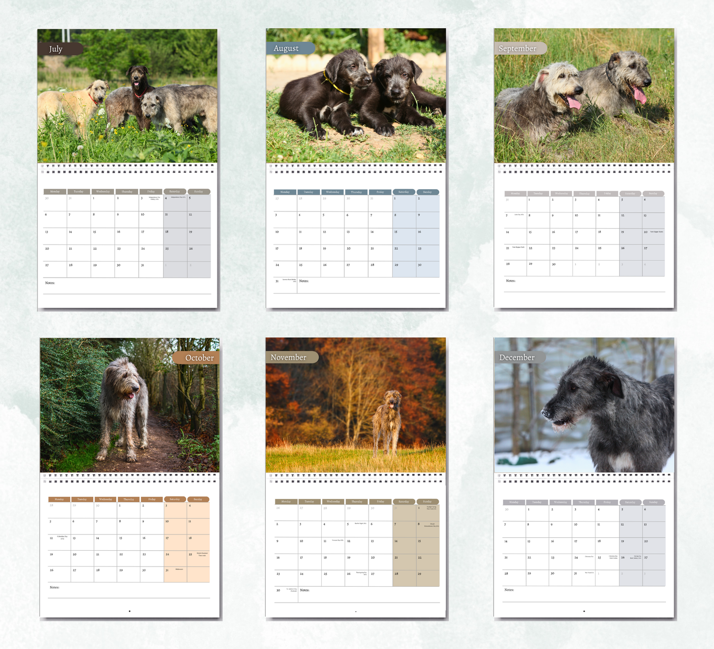 Irish Wolfhound Calendar 2026
