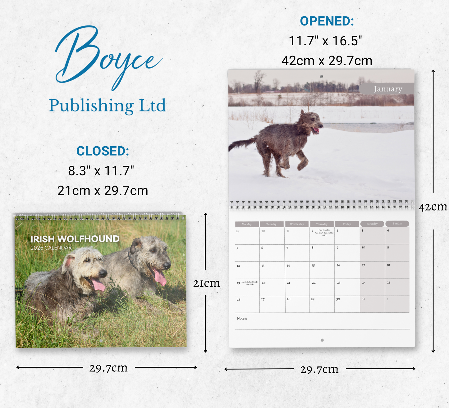Irish Wolfhound Calendar 2026