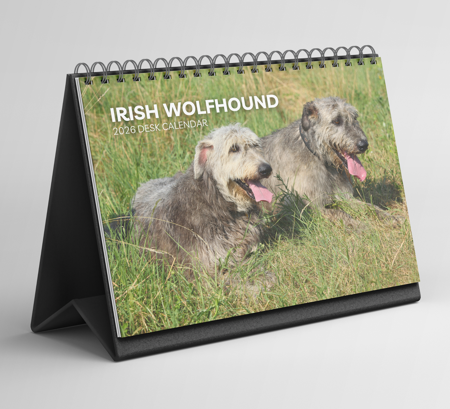 Irish Wolfhound Desk Calendar 2026-2027