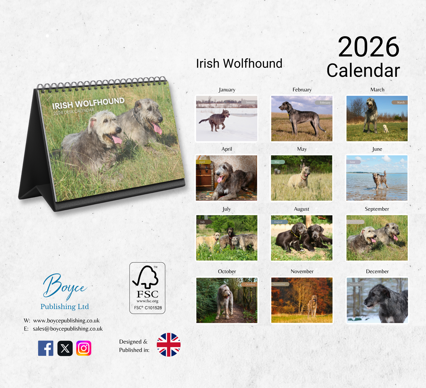 Irish Wolfhound Desk Calendar 2026-2027