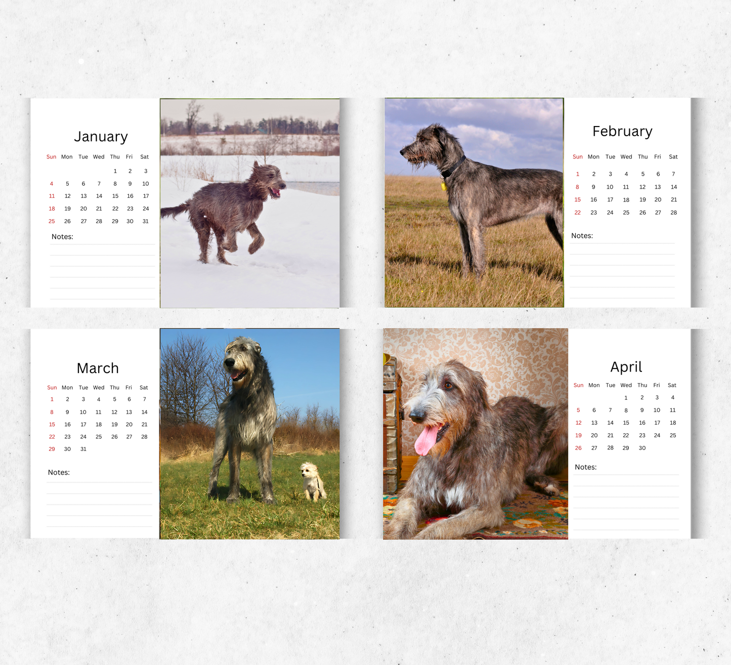 Irish Wolfhound Desk Calendar 2026-2027