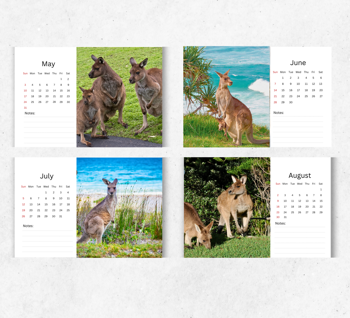 Kangaroo Desk Calendar 2026-2027