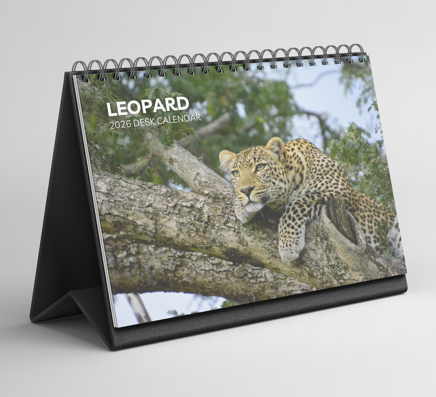 Leopard Desk Calendar 2026-2027