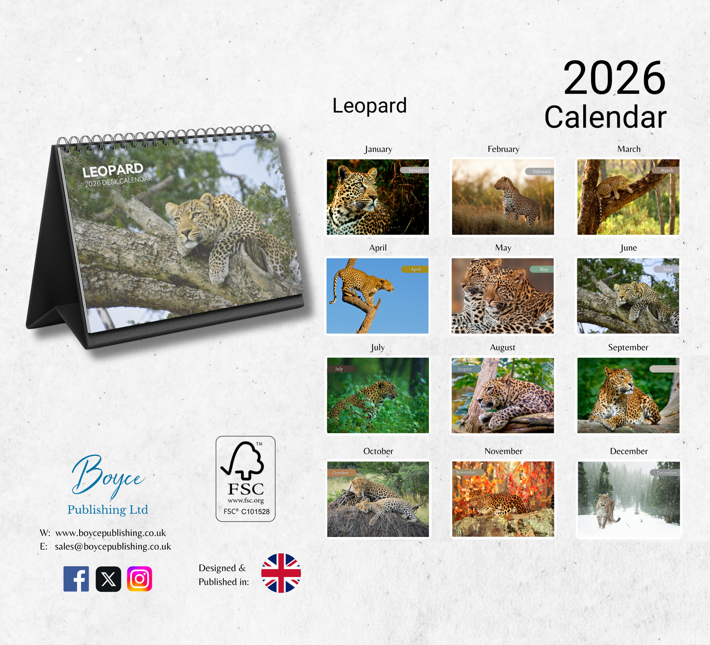 Leopard Desk Calendar 2026-2027