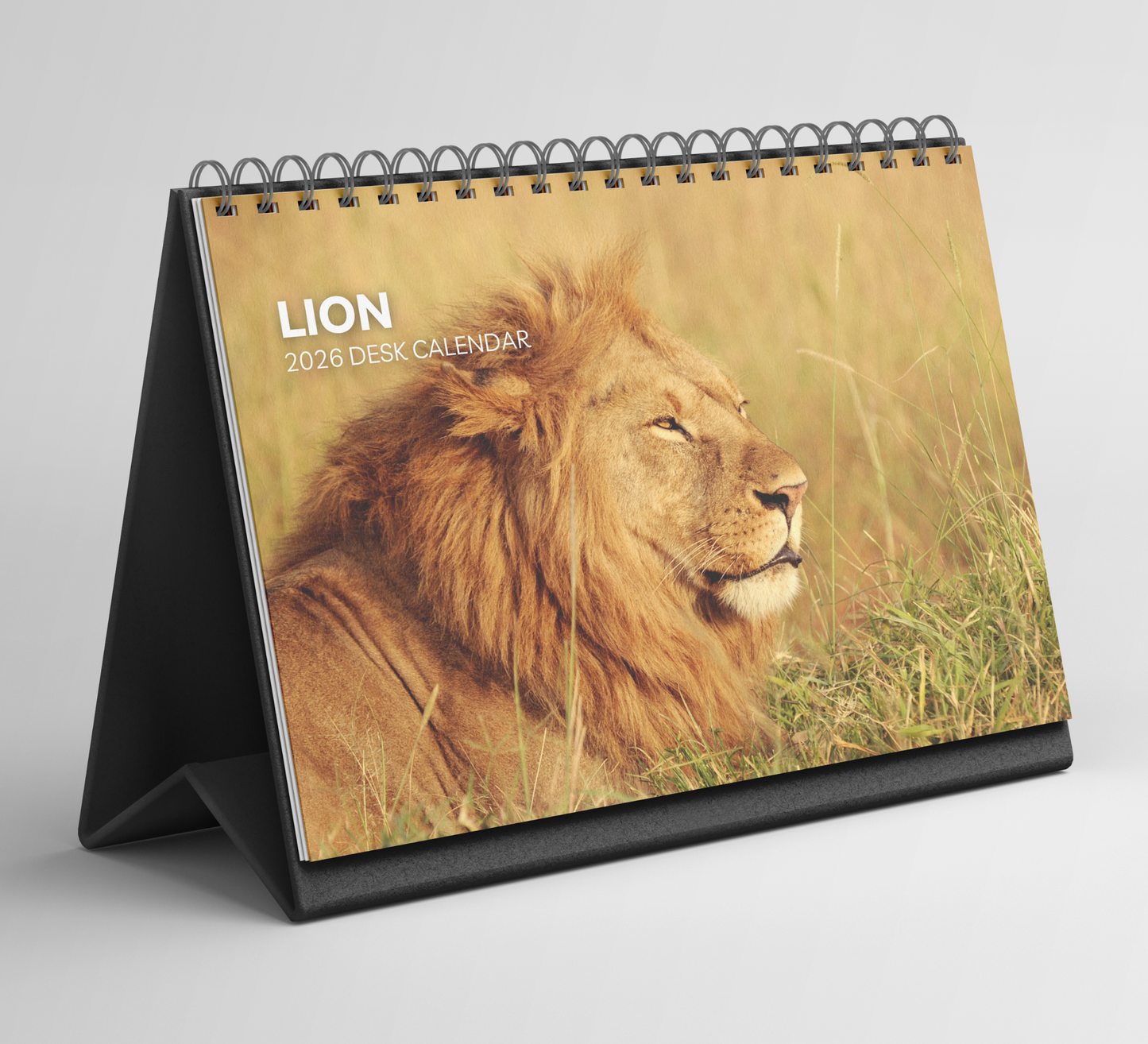 Lion Desk Calendar 2026-2027