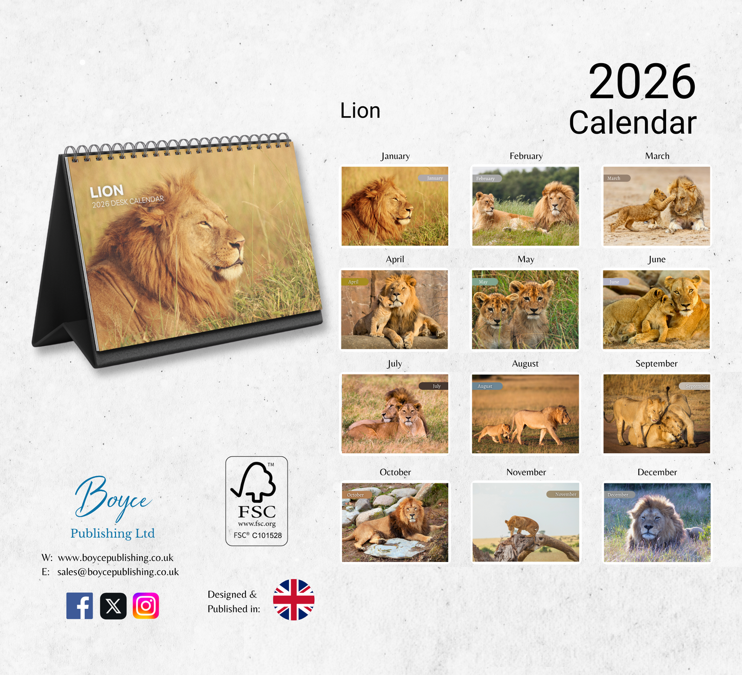 Lion Desk Calendar 2026-2027