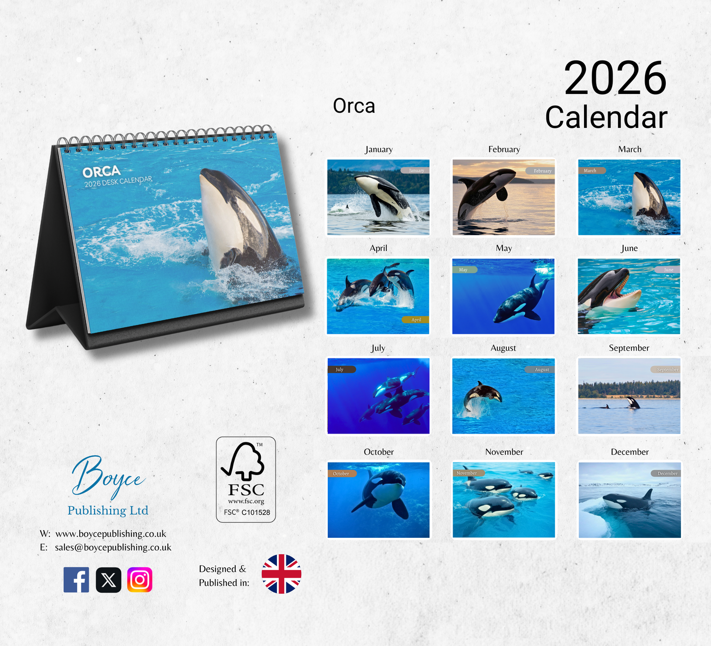 Orca Desk Calendar 2026-2027