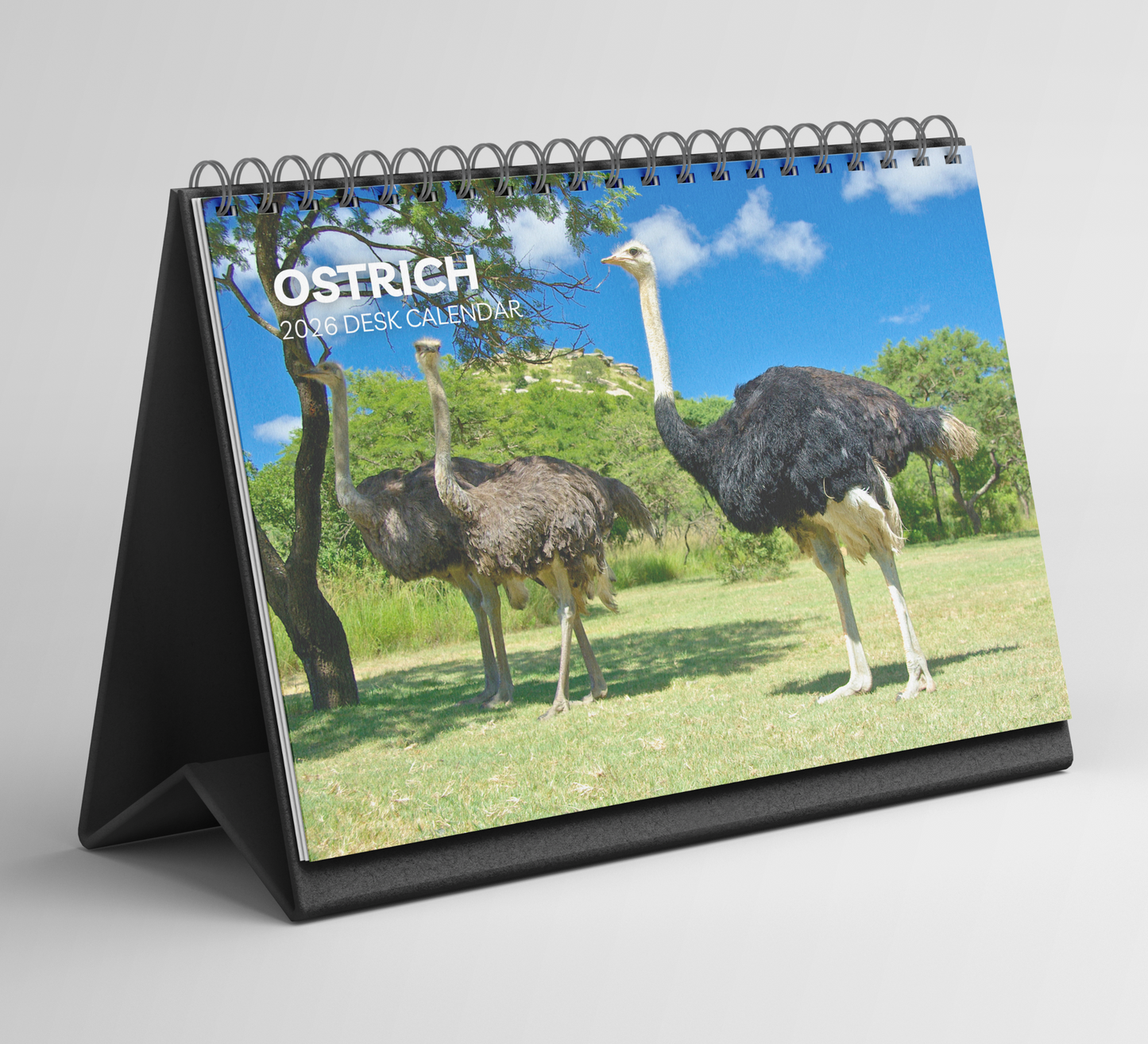 Ostrich Desk Calendar 2026-2027