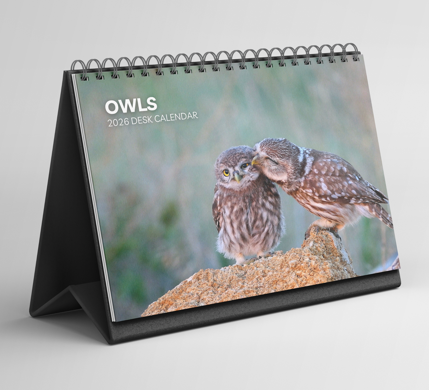 Owl Desk Calendar 2026-2027