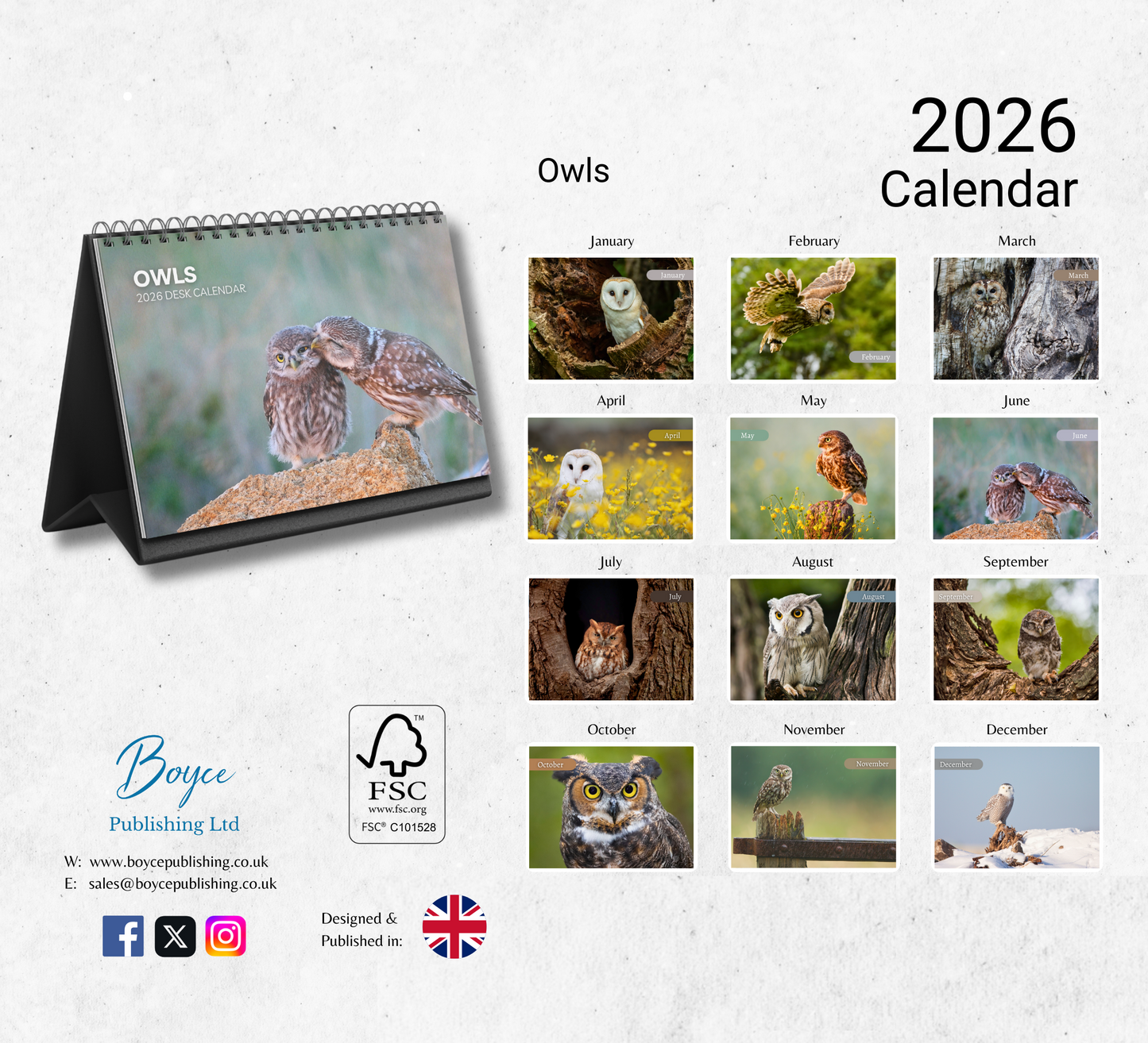 Owl Desk Calendar 2026-2027
