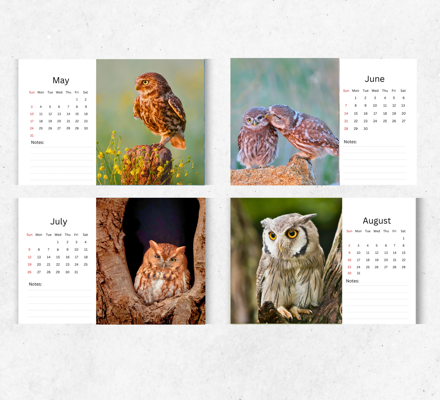 Owl Desk Calendar 2026-2027