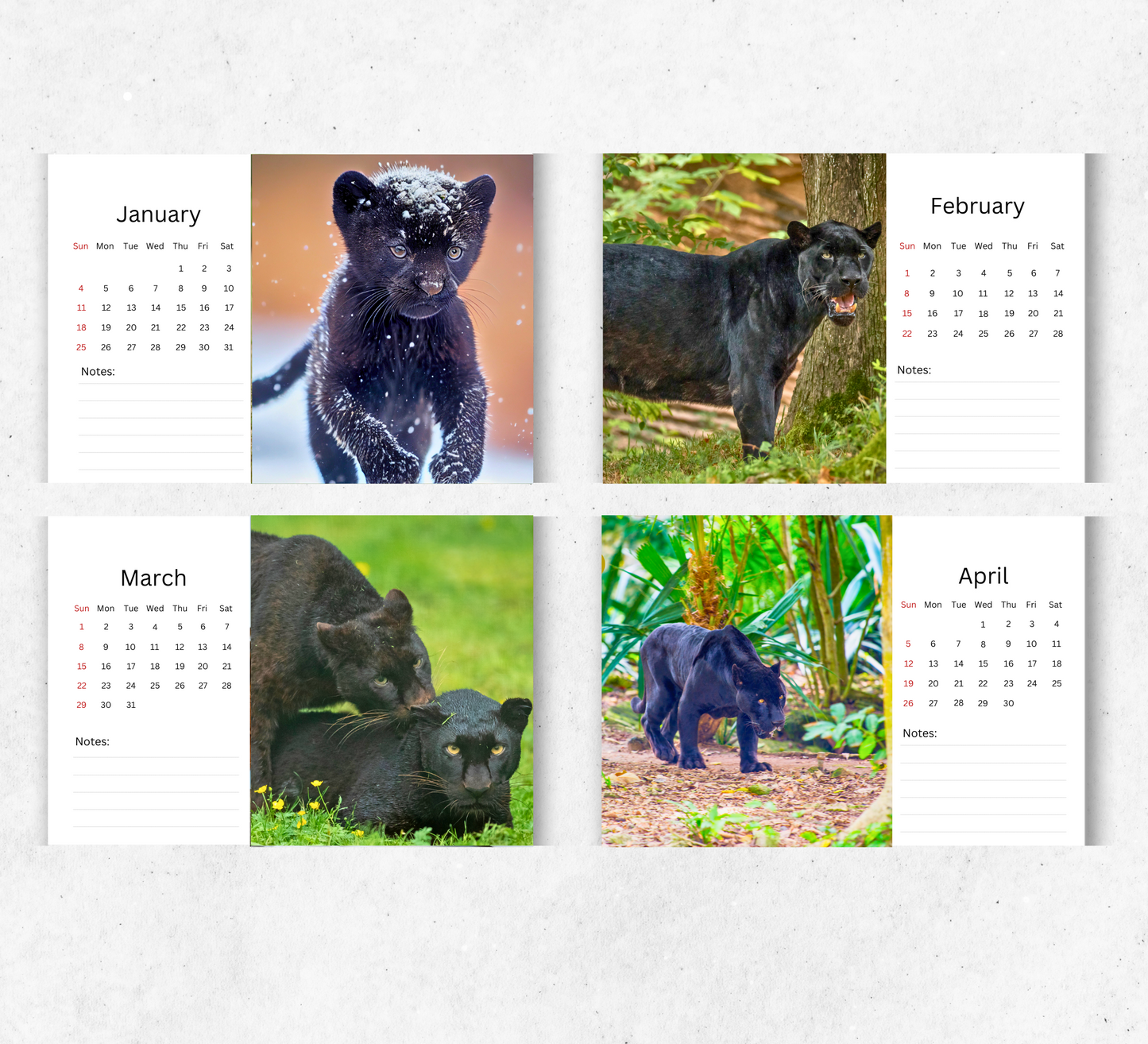 Panther Desk Calendar 2026-2027