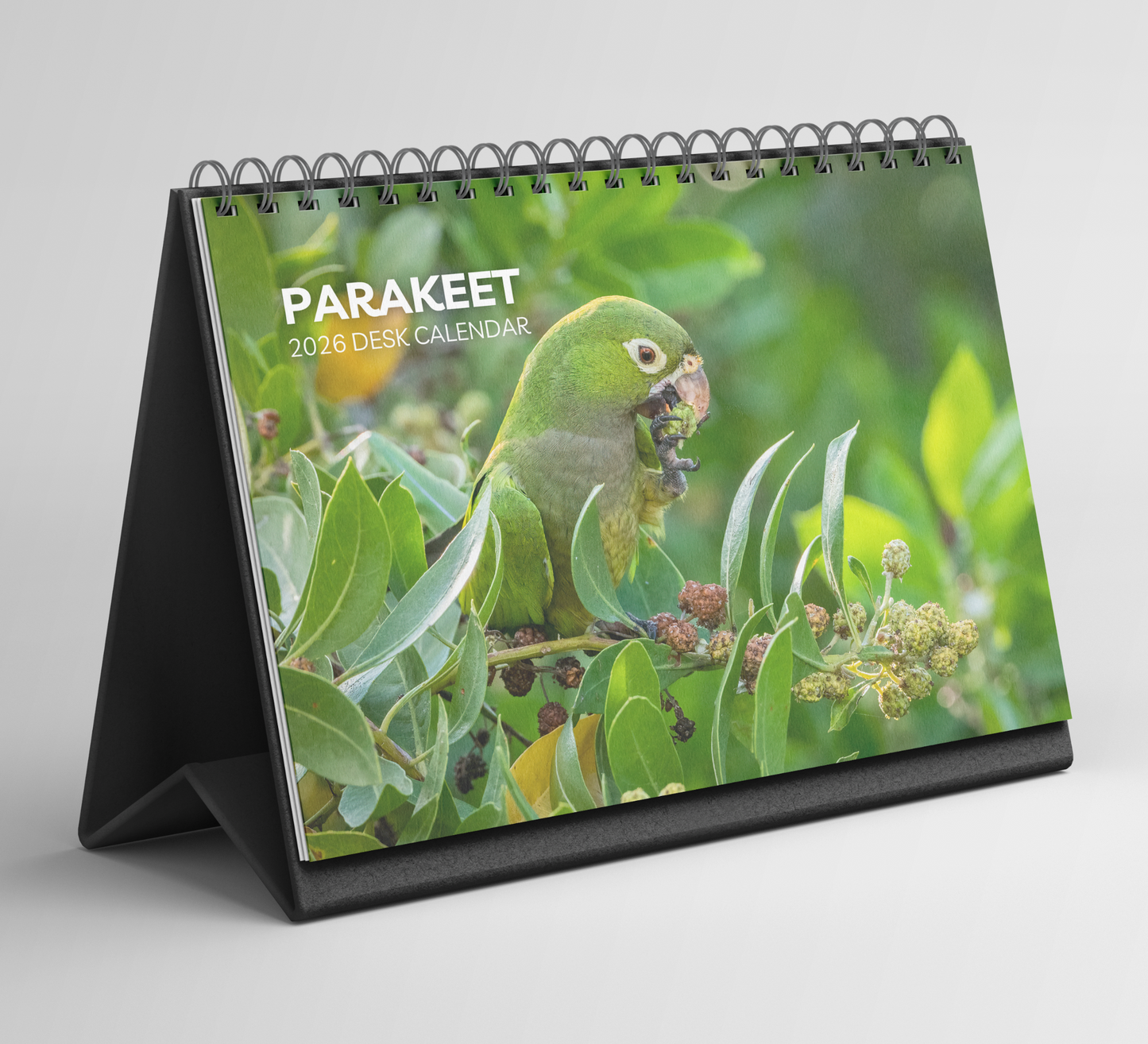 Parakeet Desk Calendar 2026-2027
