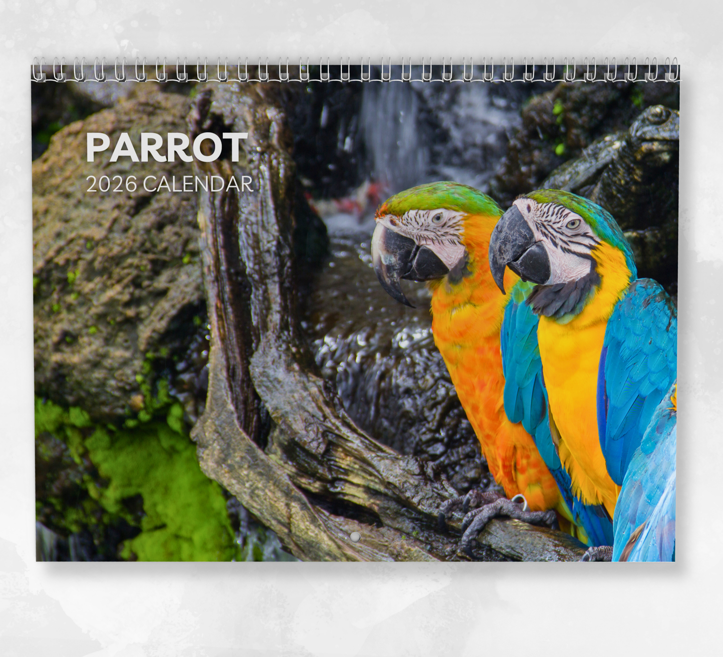Parrot Calendar 2026
