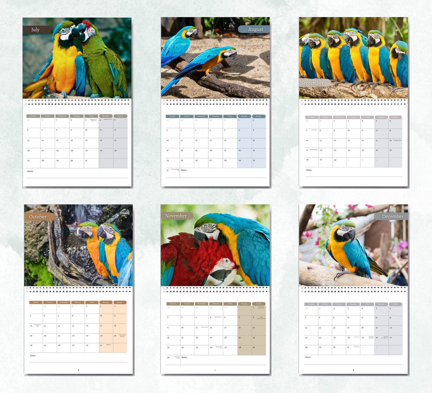 Parrot Calendar 2026