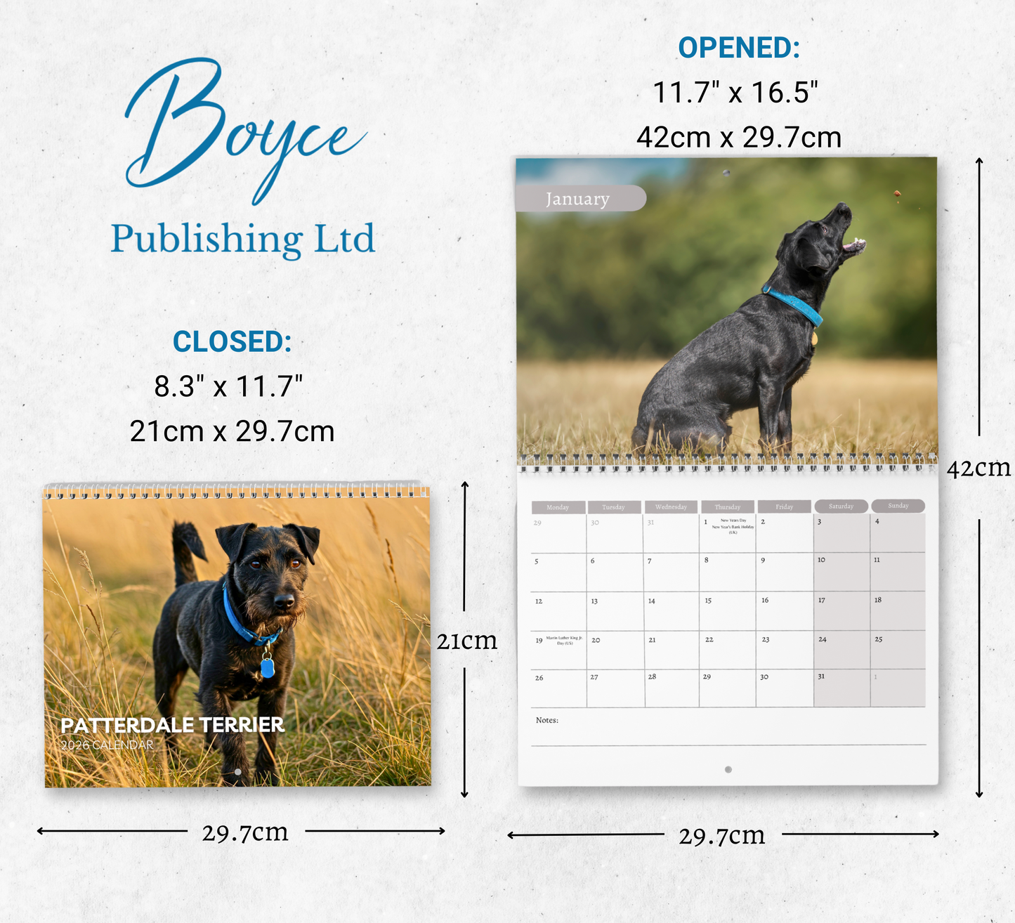 Patterdale Terrier Calendar 2026
