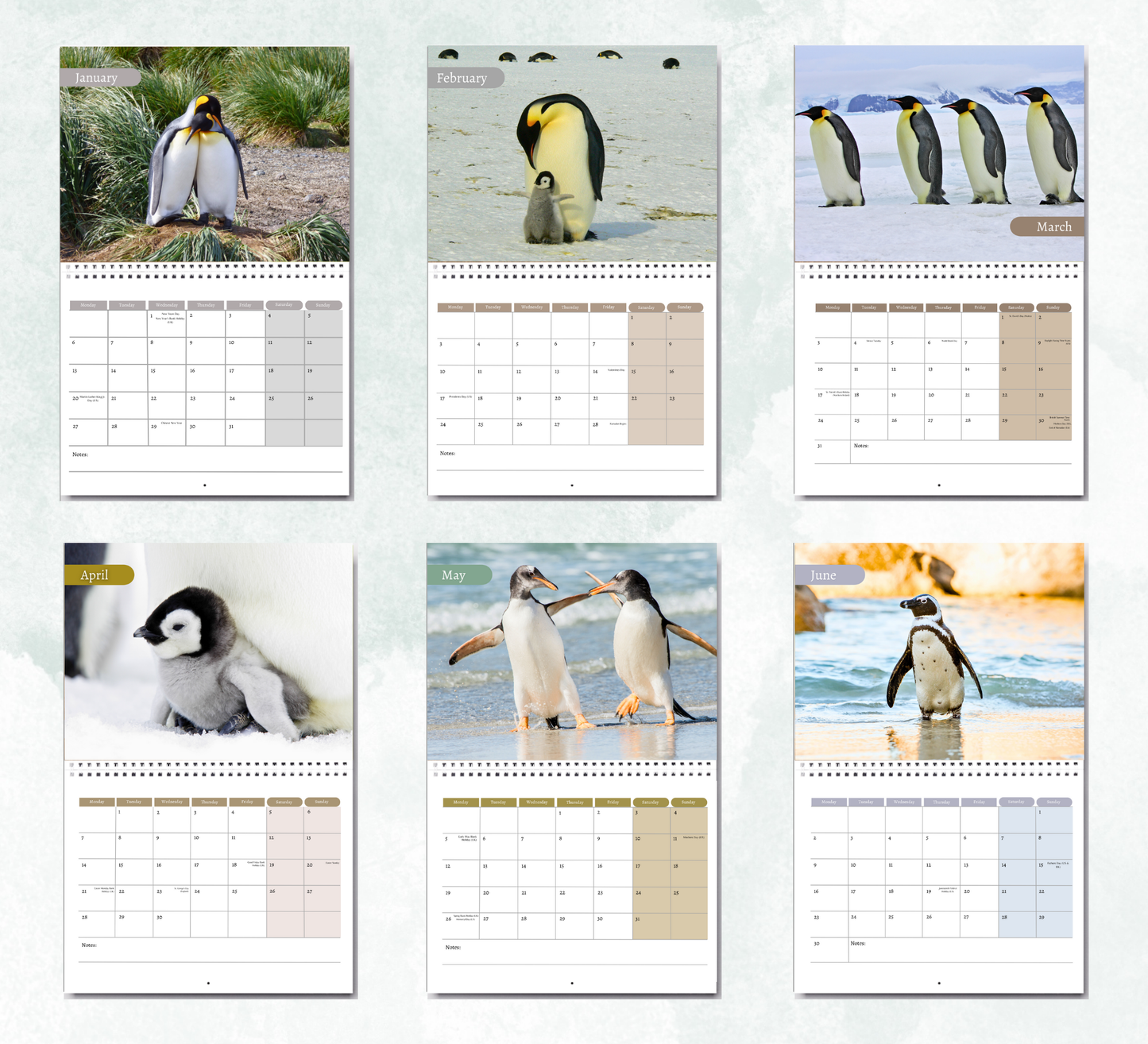 Penguin Calendar 2026