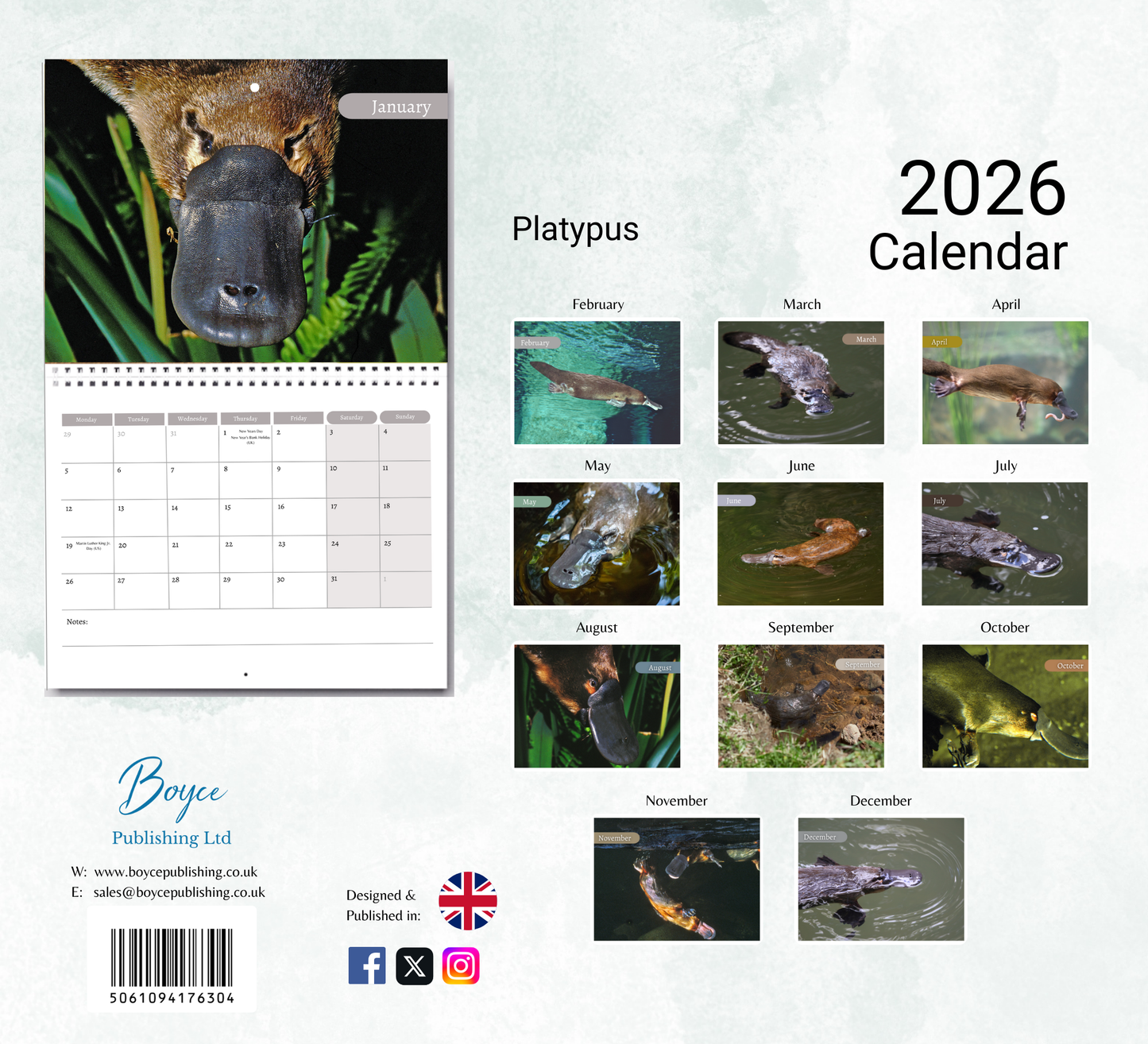 Platypus Calendar 2026