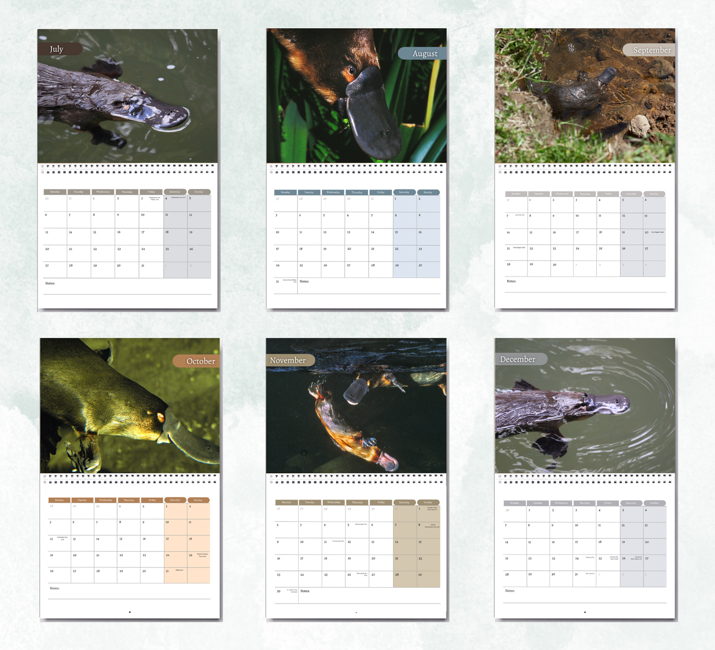 Platypus Calendar 2026