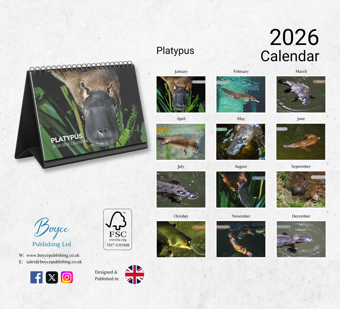 Platypus Desk Calendar 2026-2027