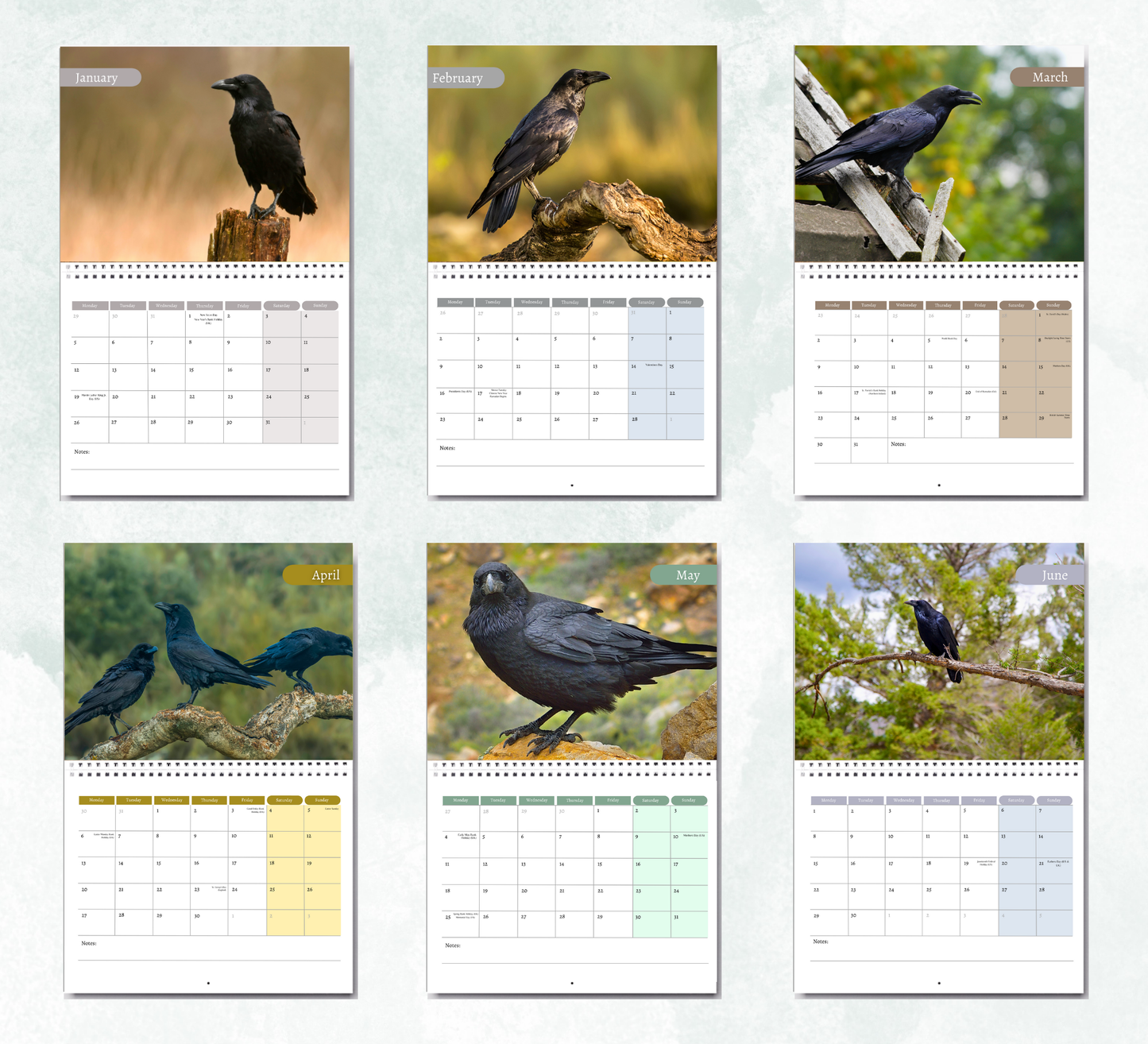 Raven Calendar 2026