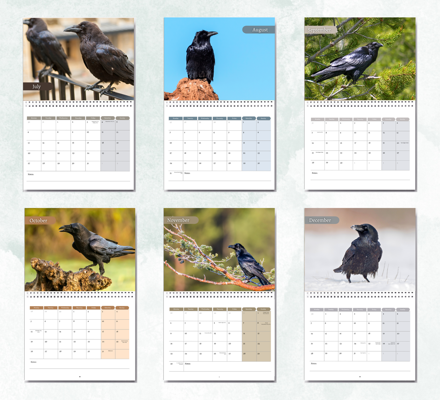 Raven Calendar 2026