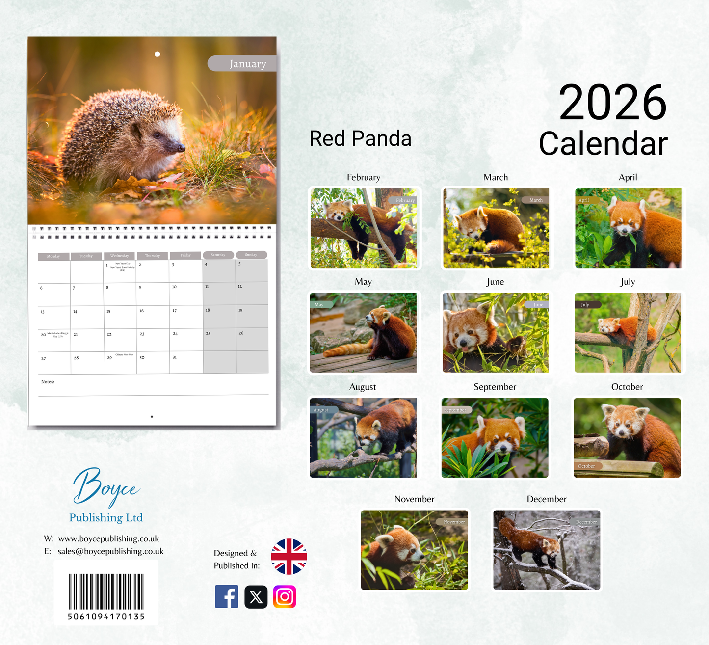 Red Panda Calendar 2026