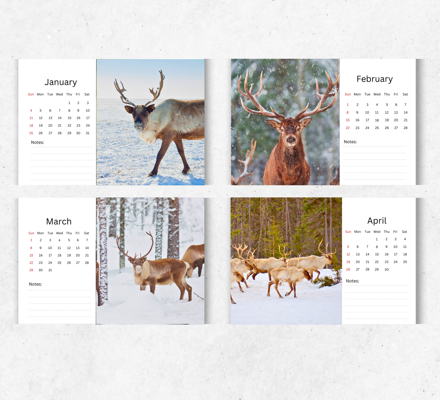 Reindeer Desk Calendar 2026-2027