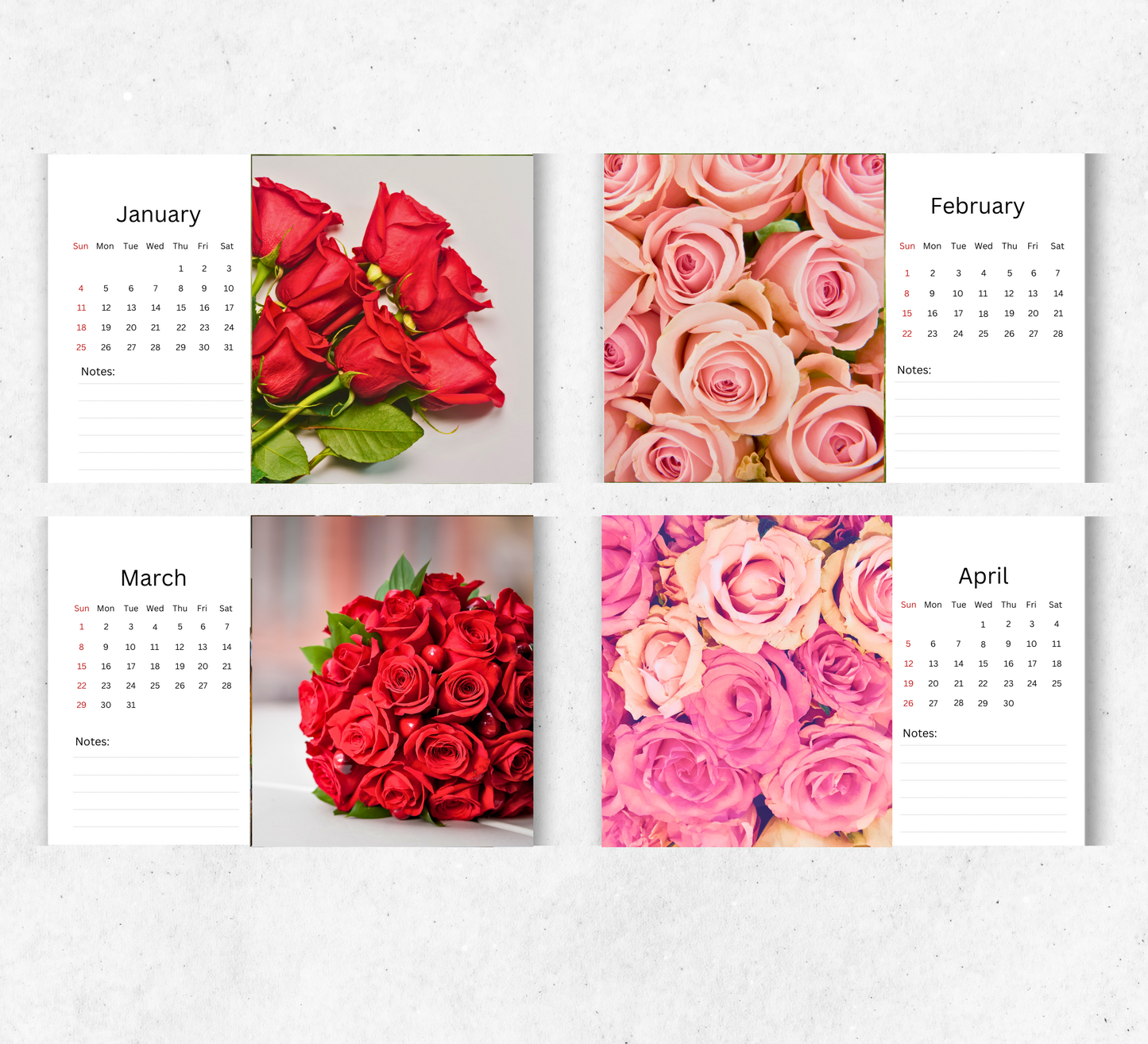 Roses Desk Calendar 2026-2027