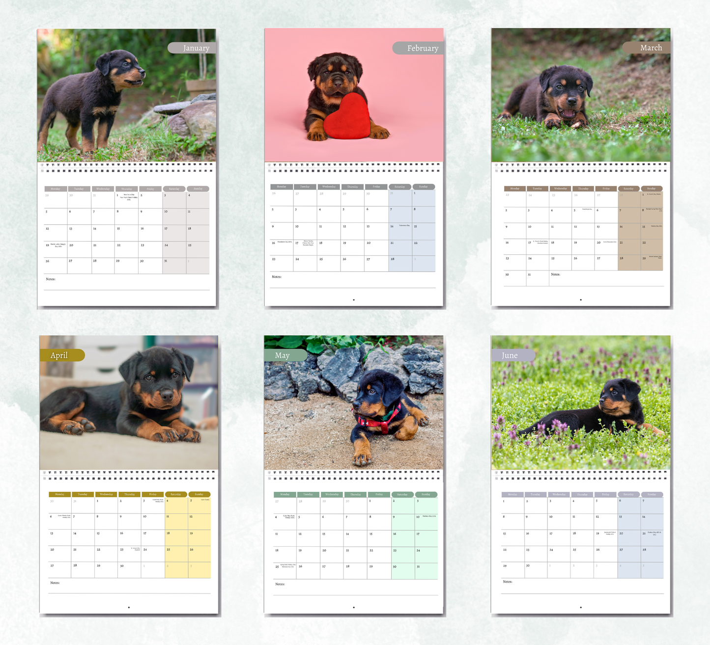 Rottweiler Puppies Calendar 2026